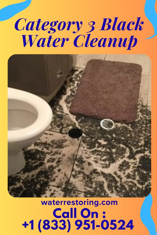 Category 3 Black Water Cleanup in Hornick, IA