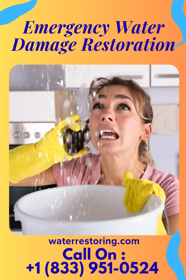 Emergency Water Damage Restoration in Hornick, IA